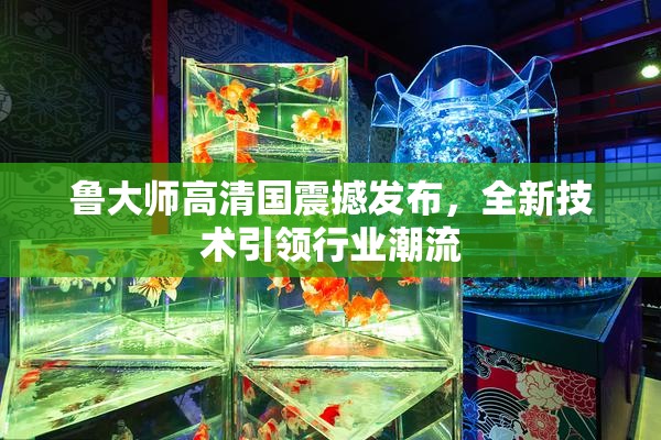 鲁大师高清国震撼发布，全新技术引领行业潮流