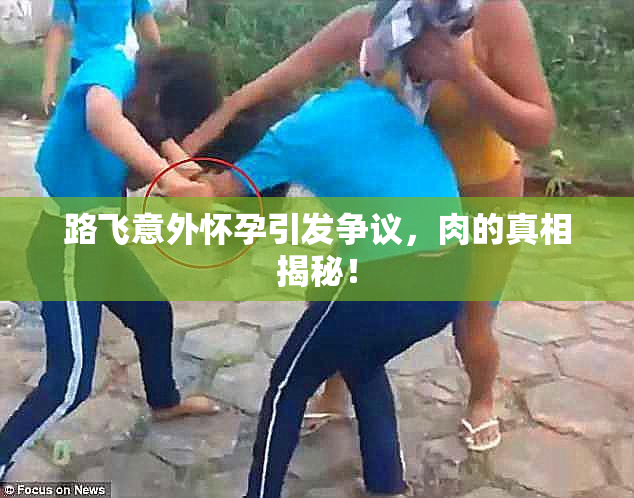 路飞意外怀孕引发争议，肉的真相揭秘！