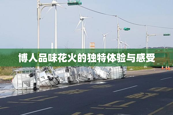 博人品味花火的独特体验与感受