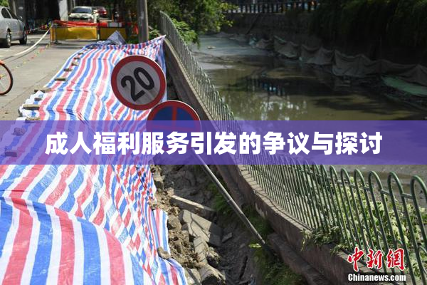 成人福利服务引发的争议与探讨