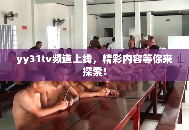 yy31tv频道上线，精彩内容等你来探索！