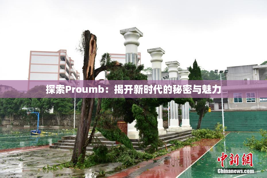 探索Proumb：揭开新时代的秘密与魅力