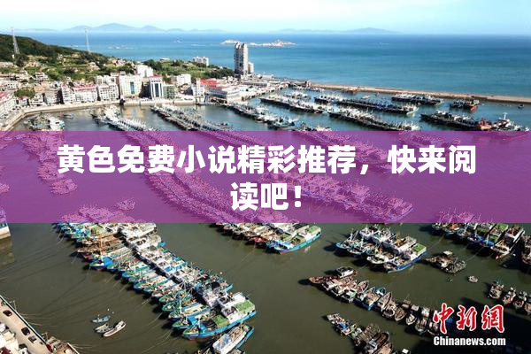 黄色免费小说精彩推荐，快来阅读吧！