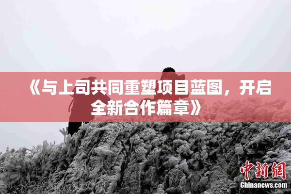 《与上司共同重塑项目蓝图，开启全新合作篇章》
