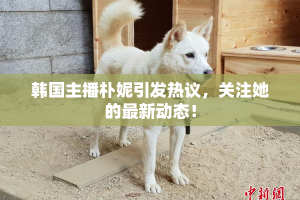 韩国主播朴妮引发热议，关注她的最新动态！