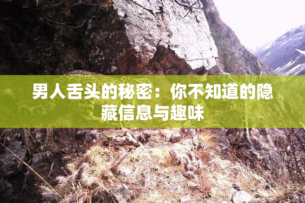 男人舌头的秘密：你不知道的隐藏信息与趣味