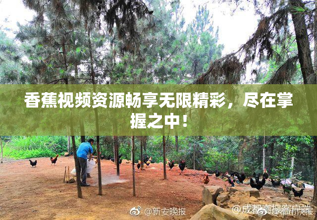 香蕉视频资源畅享无限精彩，尽在掌握之中！