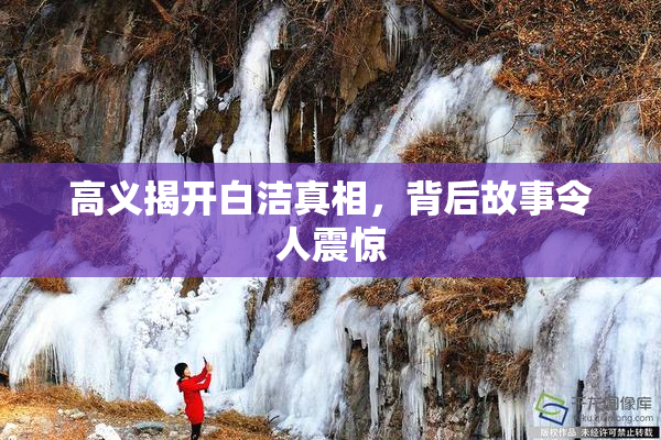 高义揭开白洁真相，背后故事令人震惊