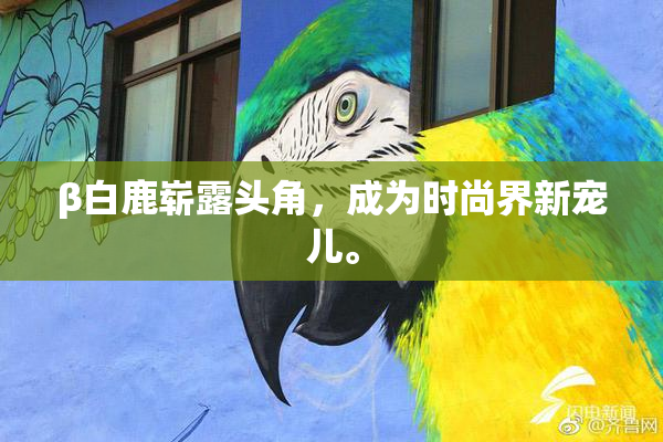 β白鹿崭露头角，成为时尚界新宠儿。