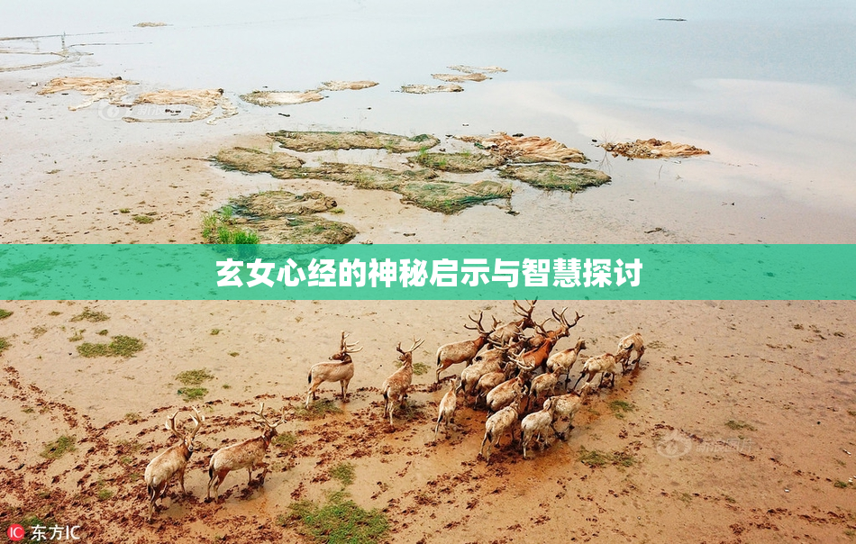 玄女心经的神秘启示与智慧探讨