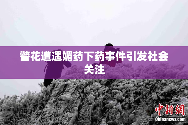警花遭遇媚药下药事件引发社会关注