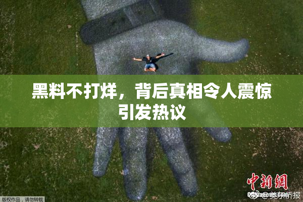 黑料不打烊，背后真相令人震惊引发热议