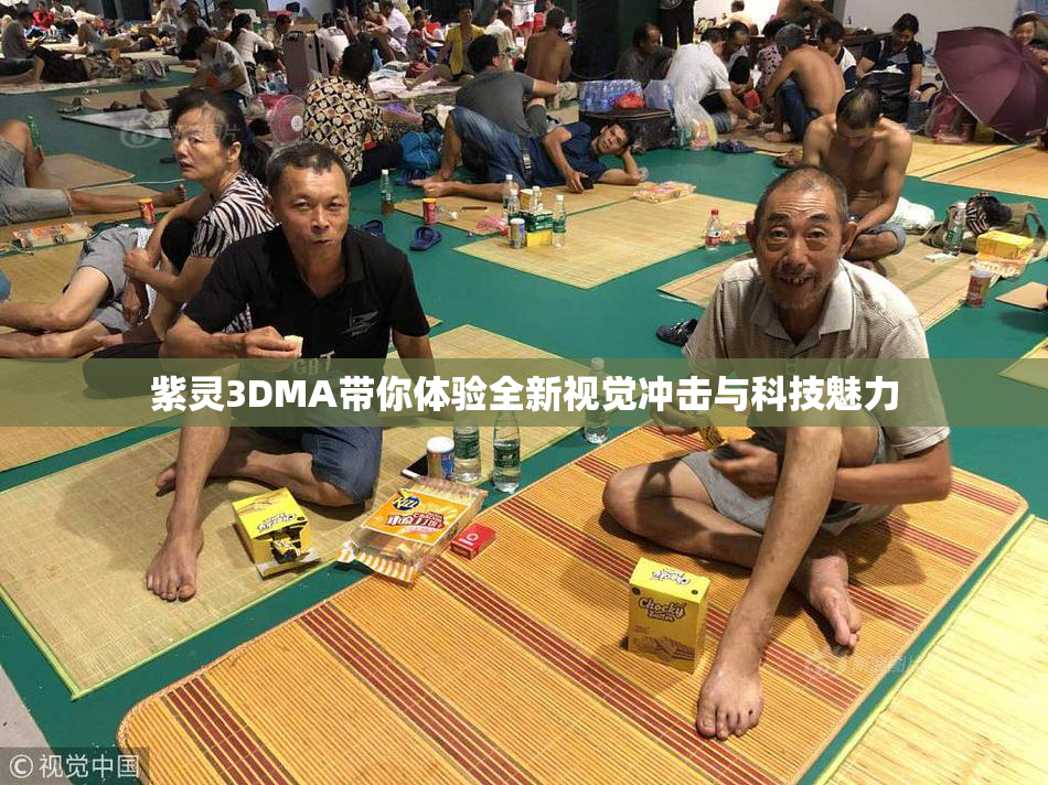 紫灵3DMA带你体验全新视觉冲击与科技魅力