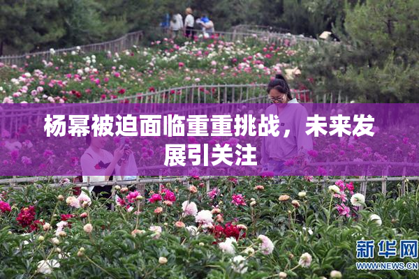 杨幂被迫面临重重挑战，未来发展引关注