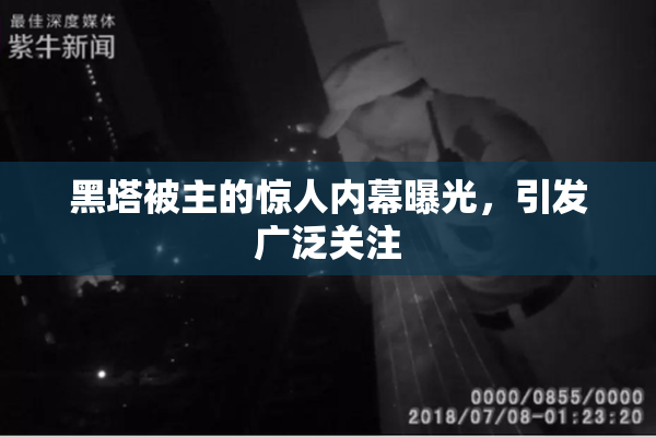 黑塔被主的惊人内幕曝光，引发广泛关注