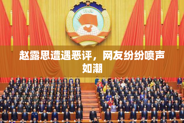 赵露思遭遇恶评，网友纷纷喷声如潮