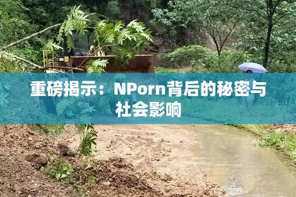 重磅揭示：ΝPorn背后的秘密与社会影响