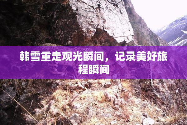 韩雪重走观光瞬间，记录美好旅程瞬间