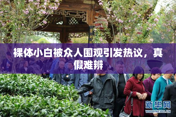 裸体小白被众人围观引发热议，真假难辨