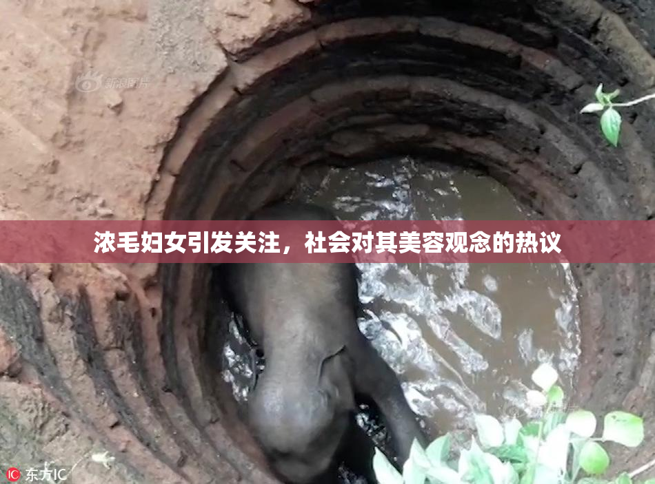 浓毛妇女引发关注，社会对其美容观念的热议