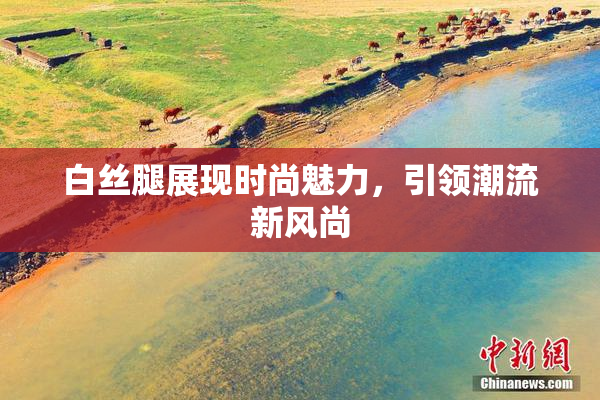白丝腿展现时尚魅力，引领潮流新风尚