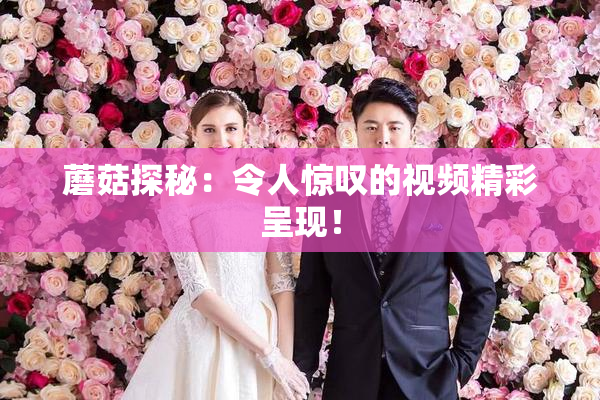 蘑菇探秘：令人惊叹的视频精彩呈现！