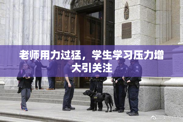 老师用力过猛，学生学习压力增大引关注