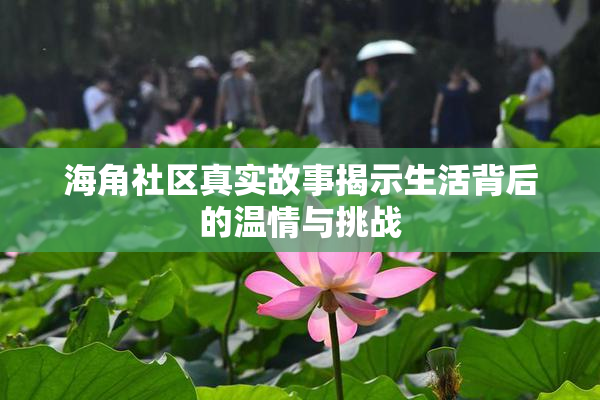 海角社区真实故事揭示生活背后的温情与挑战