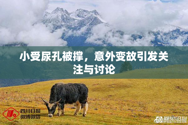 小受尿孔被撑，意外变故引发关注与讨论