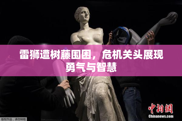 雷狮遭树藤围困，危机关头展现勇气与智慧