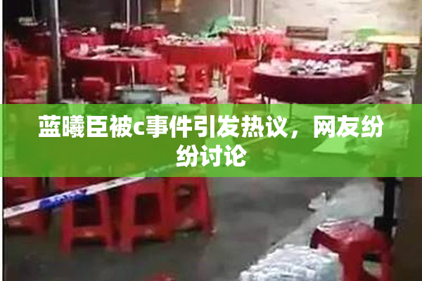 蓝曦臣被c事件引发热议，网友纷纷讨论