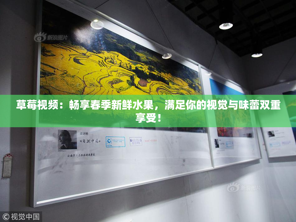 草莓视频：畅享春季新鲜水果，满足你的视觉与味蕾双重享受！