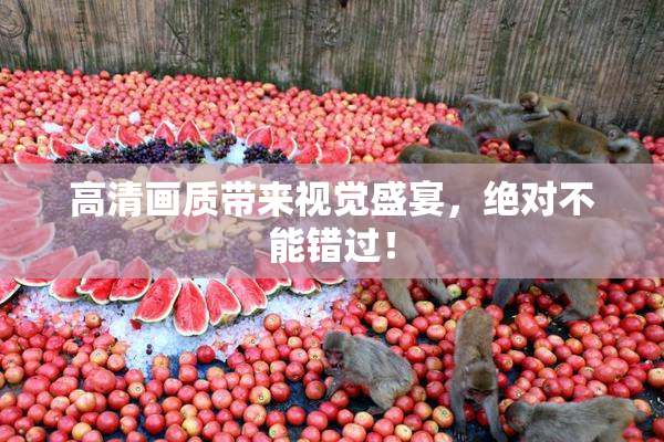 高清画质带来视觉盛宴，绝对不能错过！