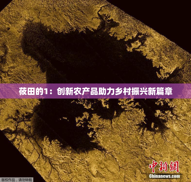 莜田的1：创新农产品助力乡村振兴新篇章
