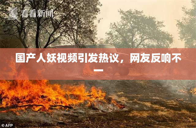 国产人妖视频引发热议，网友反响不一