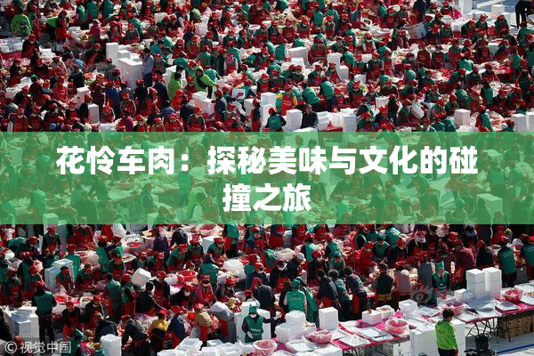 花怜车肉：探秘美味与文化的碰撞之旅