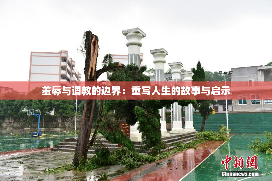 羞辱与调教的边界：重写人生的故事与启示