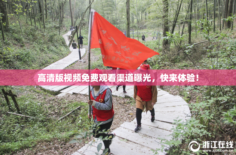 高清版视频免费观看渠道曝光，快来体验！
