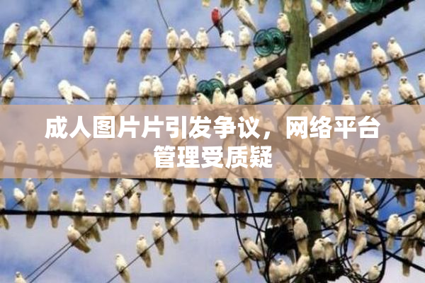 成人图片片引发争议，网络平台管理受质疑