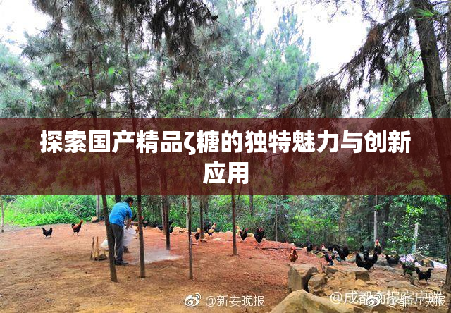 探索国产精品ζ糖的独特魅力与创新应用