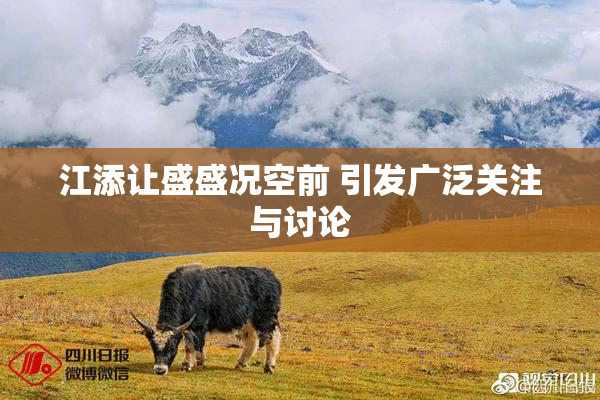 江添让盛盛况空前 引发广泛关注与讨论