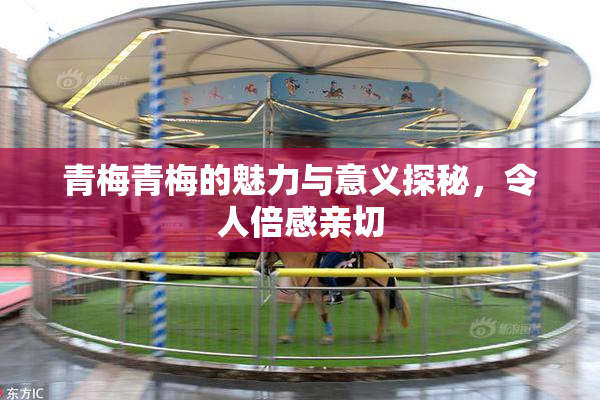 青梅青梅的魅力与意义探秘，令人倍感亲切