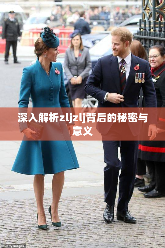 深入解析zljzlj背后的秘密与意义