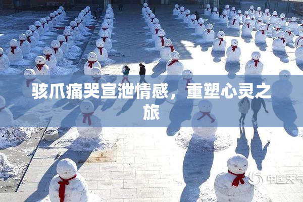 骇爪痛哭宣泄情感，重塑心灵之旅