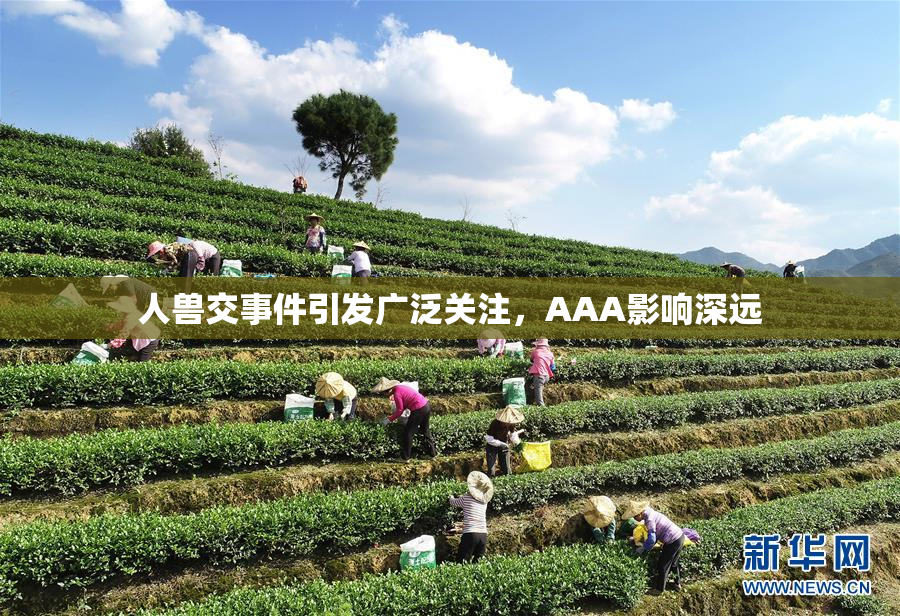 人兽交事件引发广泛关注，AAA影响深远