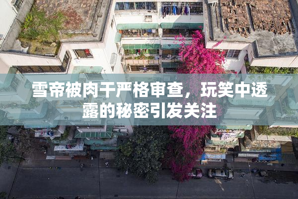 雪帝被肉干严格审查，玩笑中透露的秘密引发关注