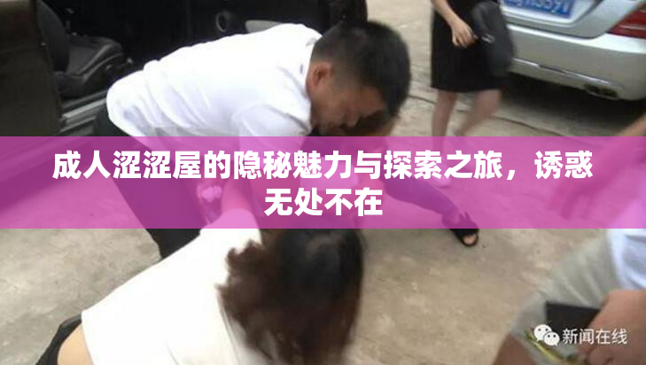 成人涩涩屋的隐秘魅力与探索之旅，诱惑无处不在