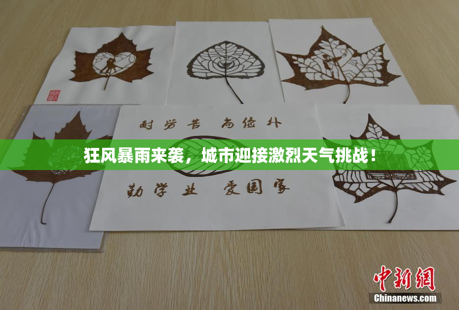 狂风暴雨来袭，城市迎接激烈天气挑战！