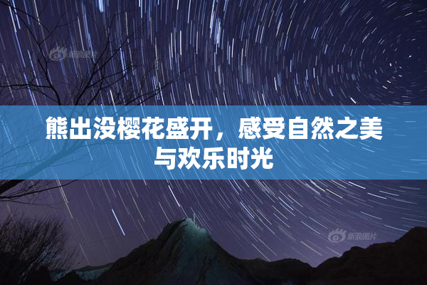 熊出没樱花盛开，感受自然之美与欢乐时光