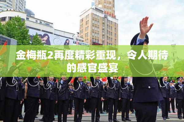金梅瓶2再度精彩重现，令人期待的感官盛宴